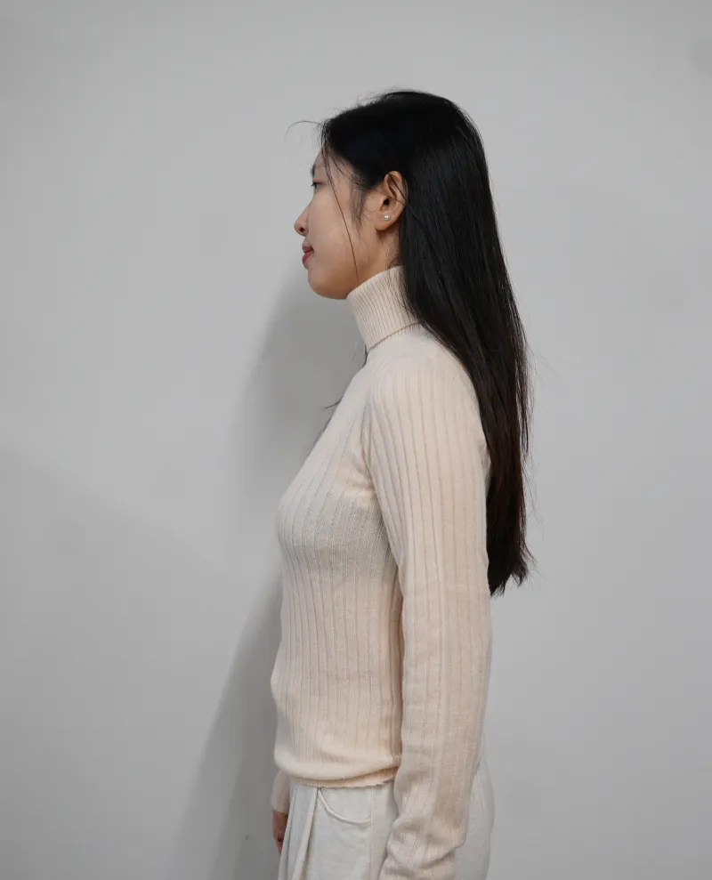 Absolut Cashmere Aline Biscuit Knit