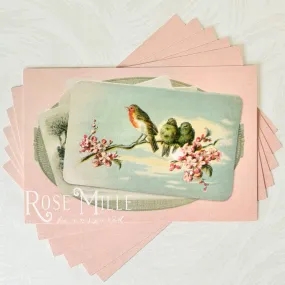 Birds - Layering PostCards