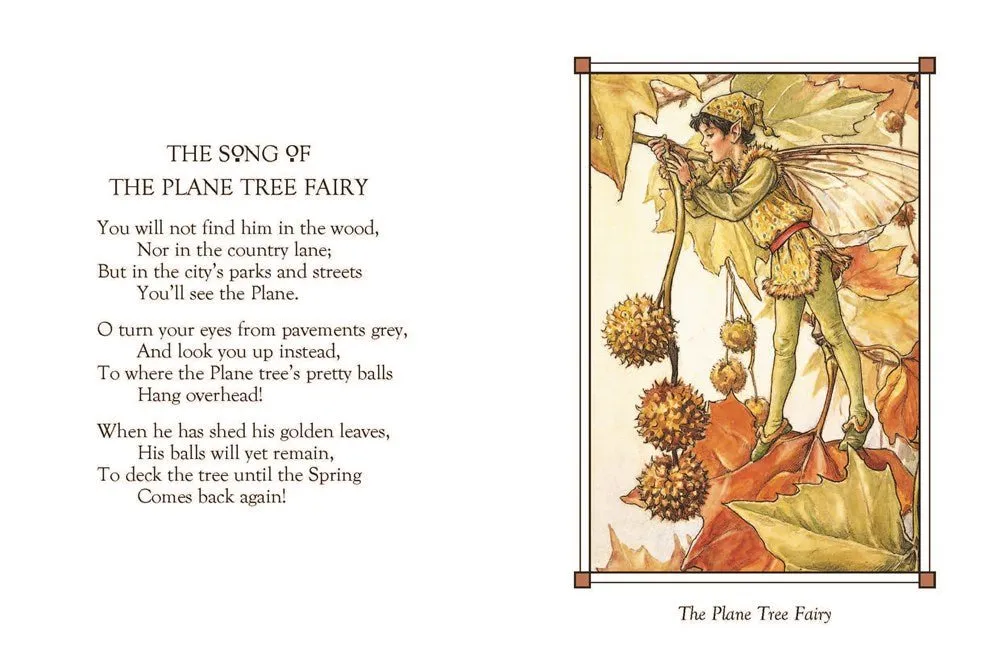 Cicely Mary Barker: Flower Fairies of the Winter