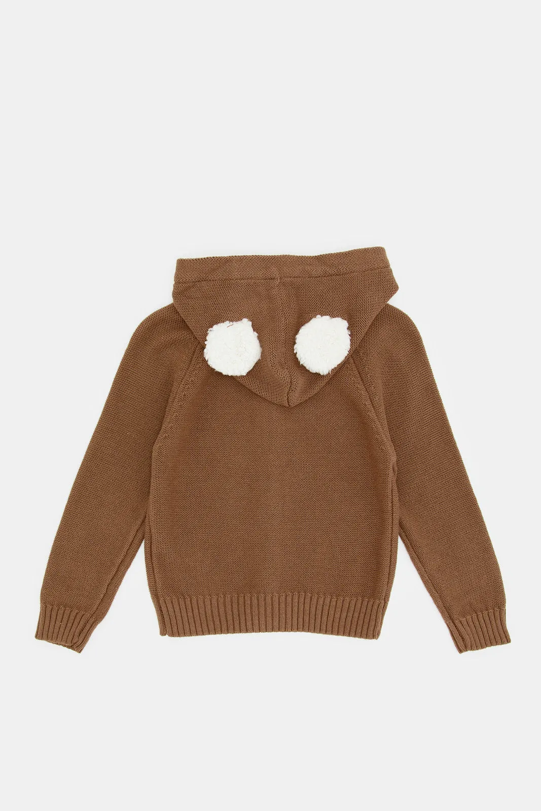 Infant Boys Brown Bear Zip Thru Hoody