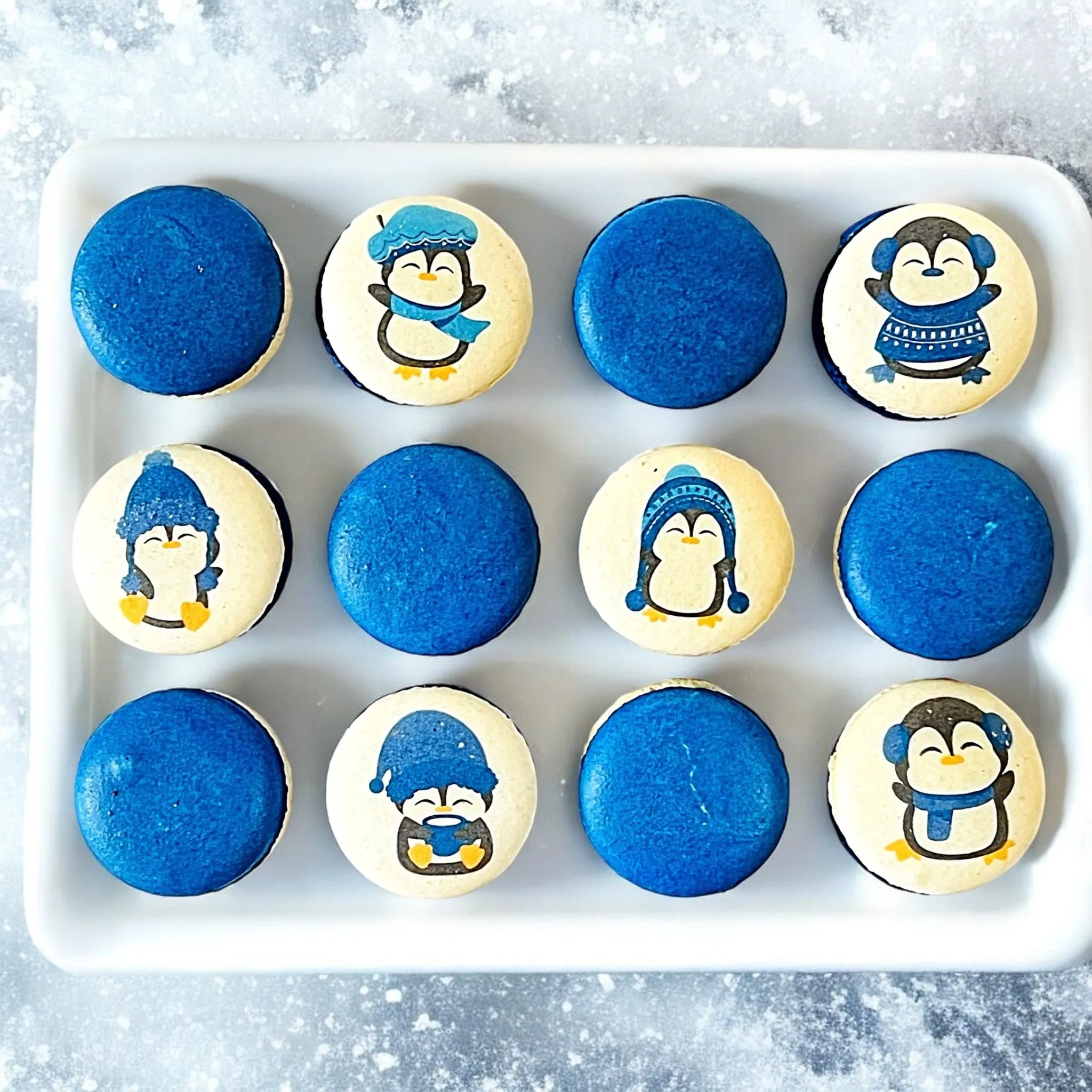 Penguin Winter Macaron Set - Sapphire Blue and White