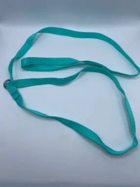 Slip Lead 3'10" Mint