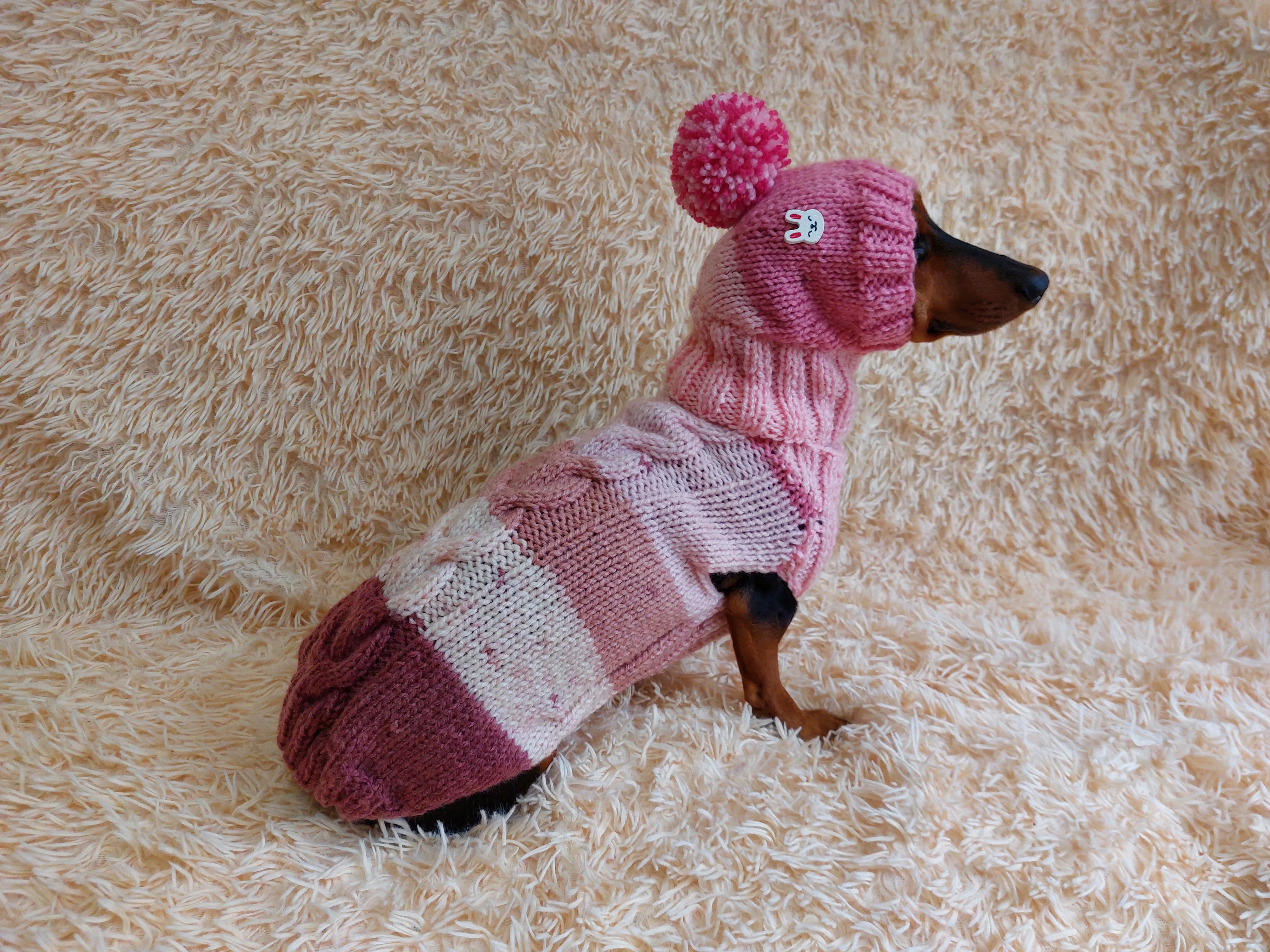 Wool coat with hat with rabbit for pets - winter wool suit for dogs - dachshund warm clothes set sweater and hat