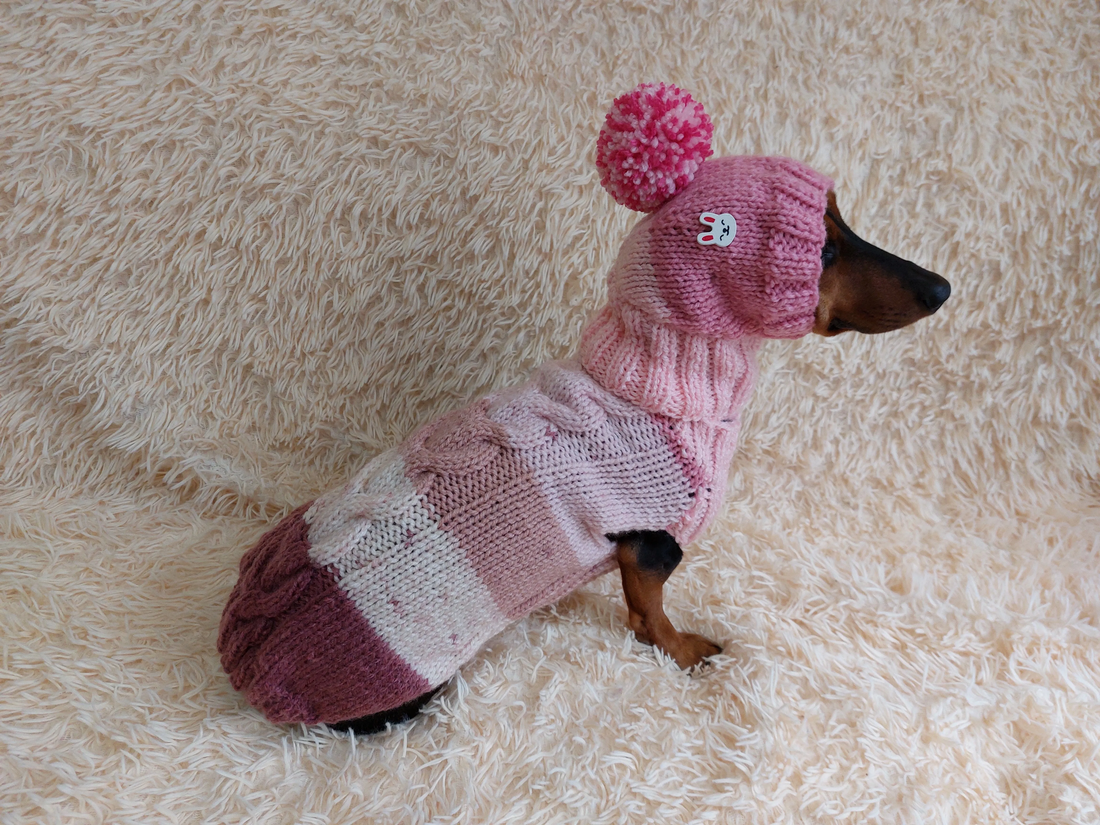 Wool coat with hat with rabbit for pets - winter wool suit for dogs - dachshund warm clothes set sweater and hat