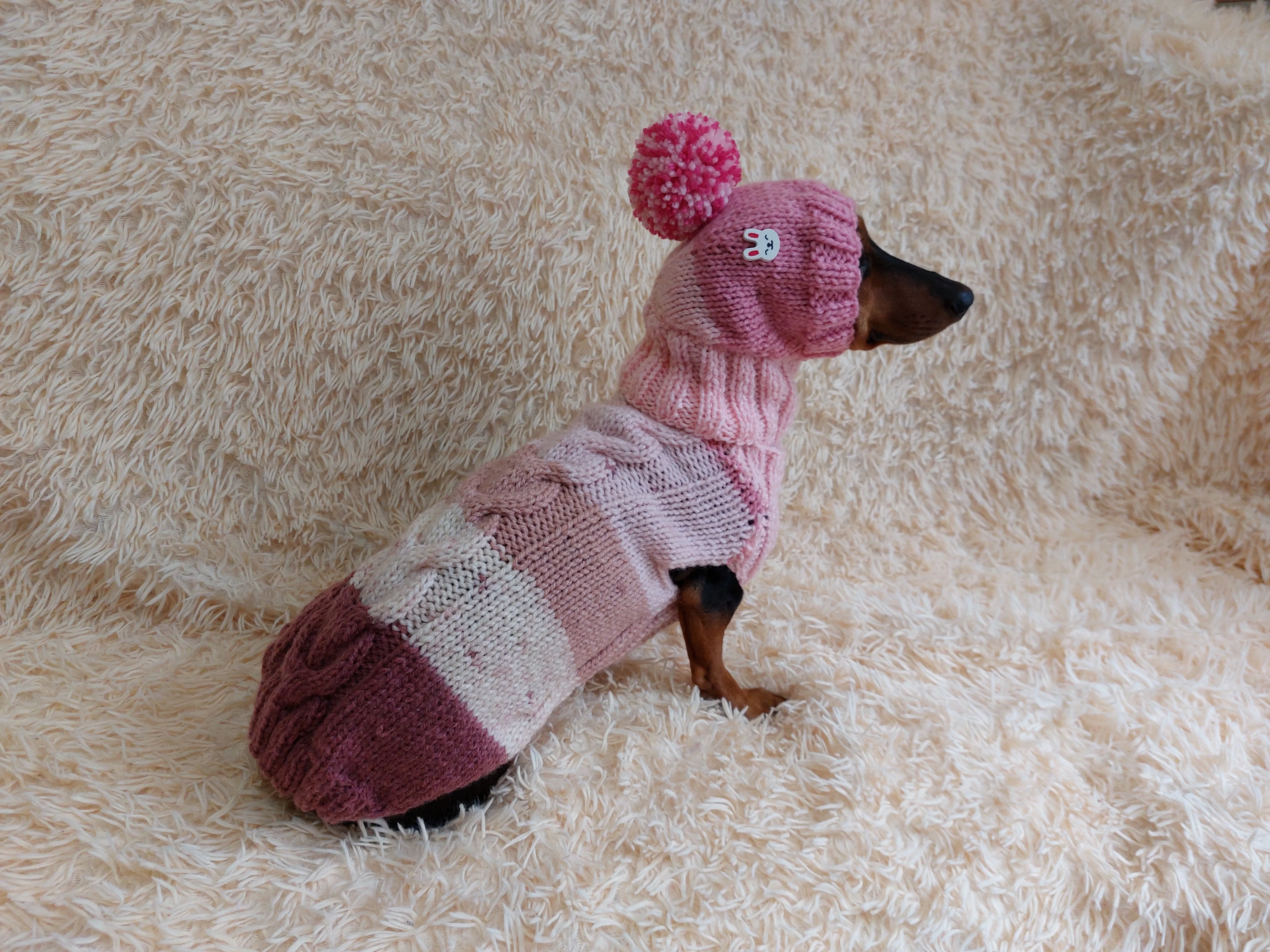 Wool coat with hat with rabbit for pets - winter wool suit for dogs - dachshund warm clothes set sweater and hat