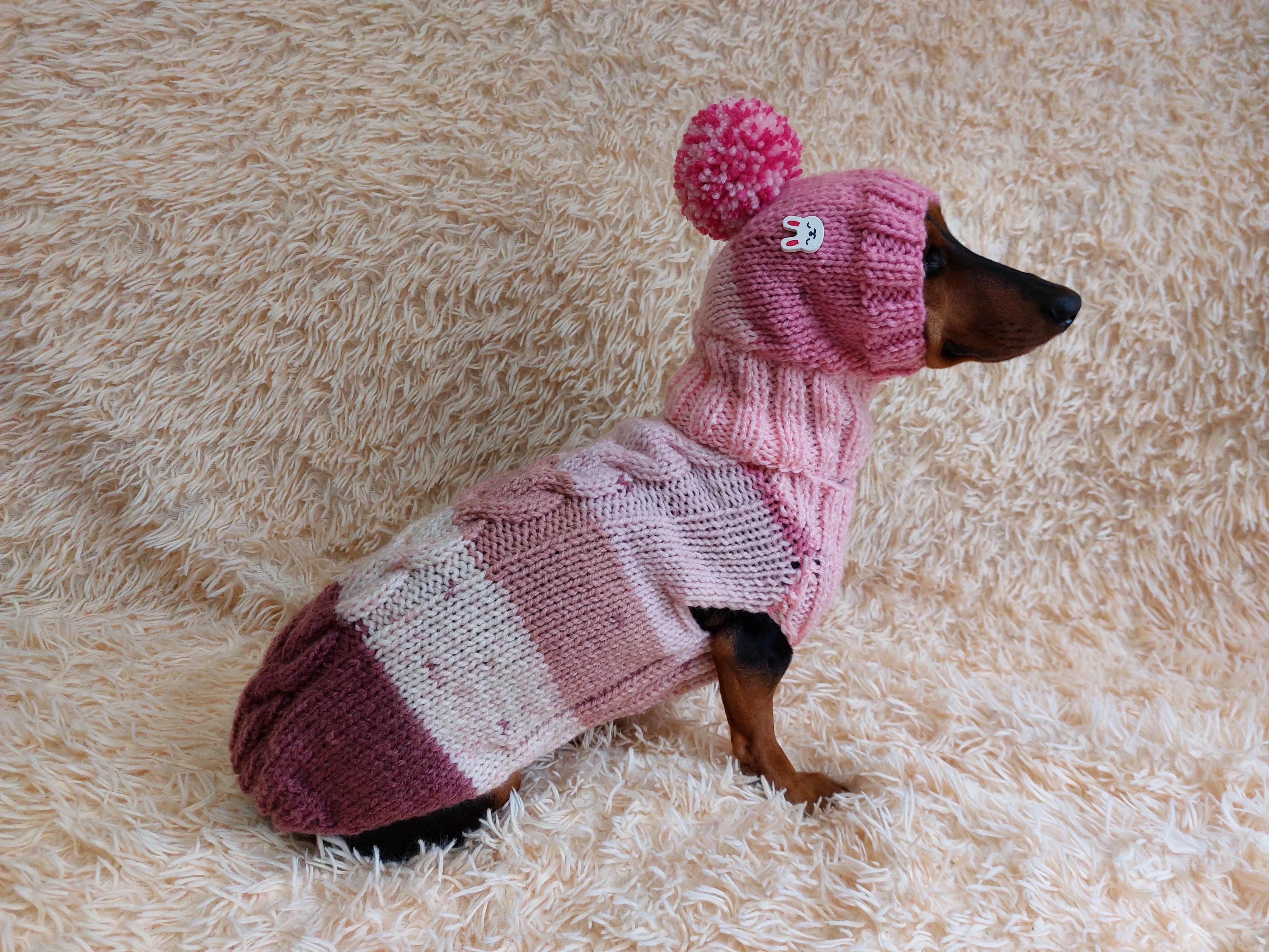 Wool coat with hat with rabbit for pets - winter wool suit for dogs - dachshund warm clothes set sweater and hat